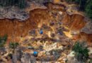 destruição desmatamento amazonia garimpo ilegal