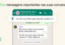 WhatsApp agora permite fixar mensagem em conversas