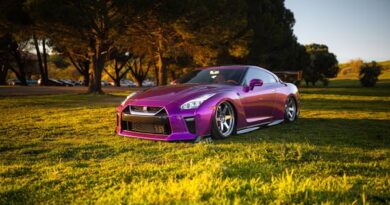 A purple nissan sports car parked in a field