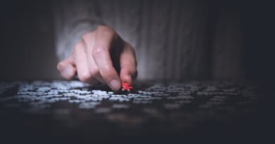 person holding red jigsaw puzzle